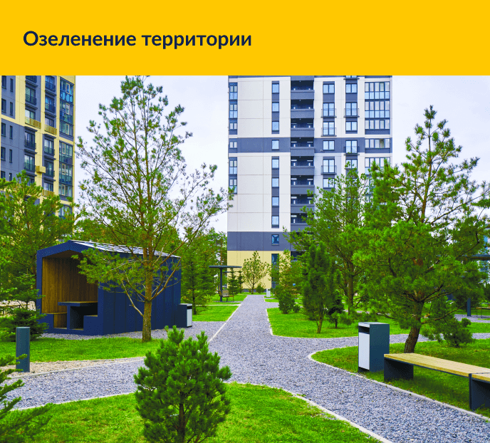 Озеленение территории